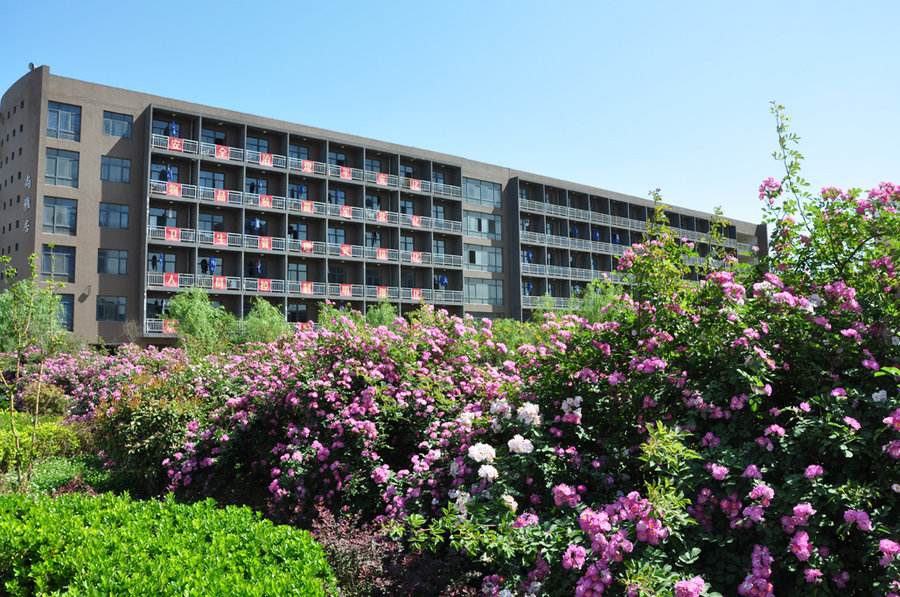 草莓视频性福宝阀门供应