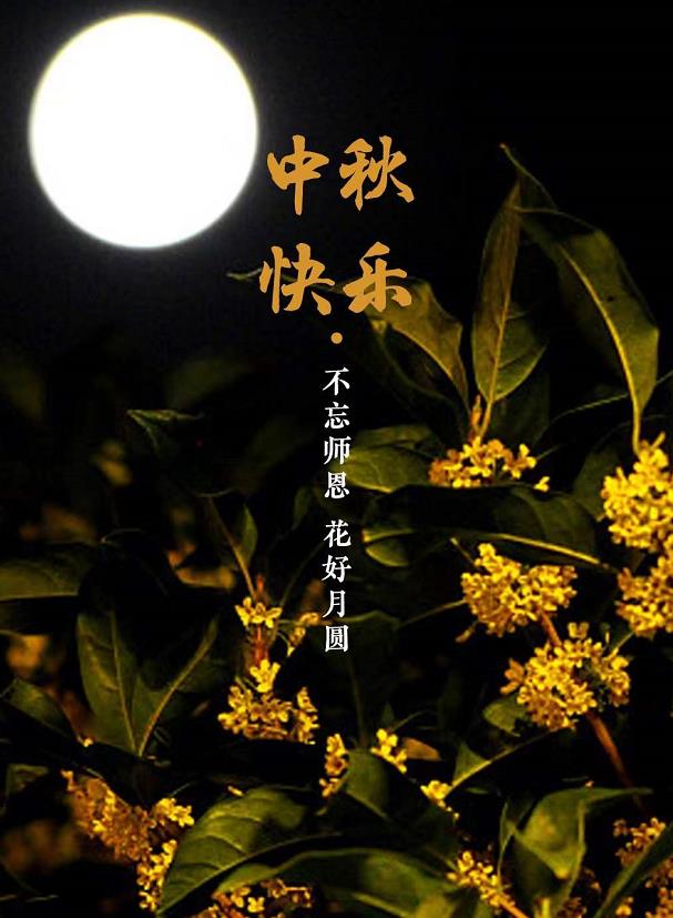 草莓视频性福宝阀门